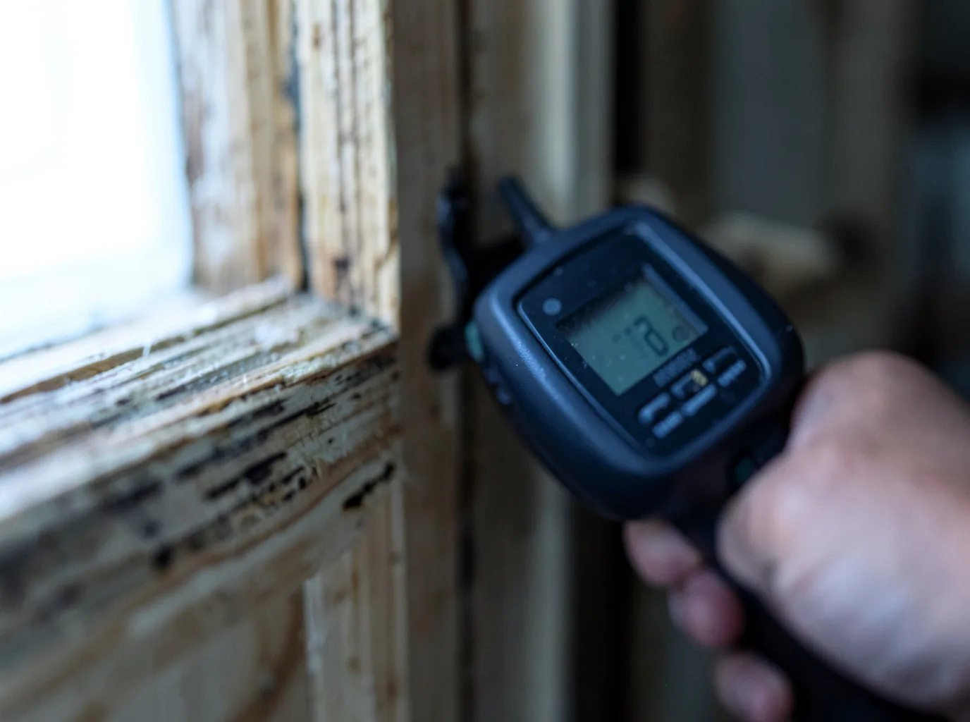 Moisture Inspection And Documentation in Caspar, CA